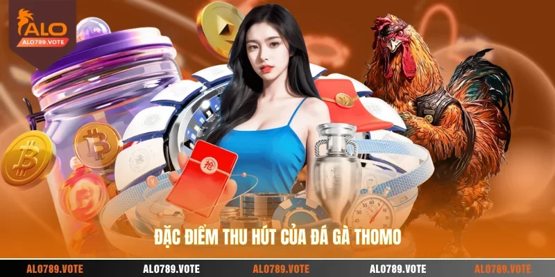Đặc điểm thu hút của đá gà Thomo